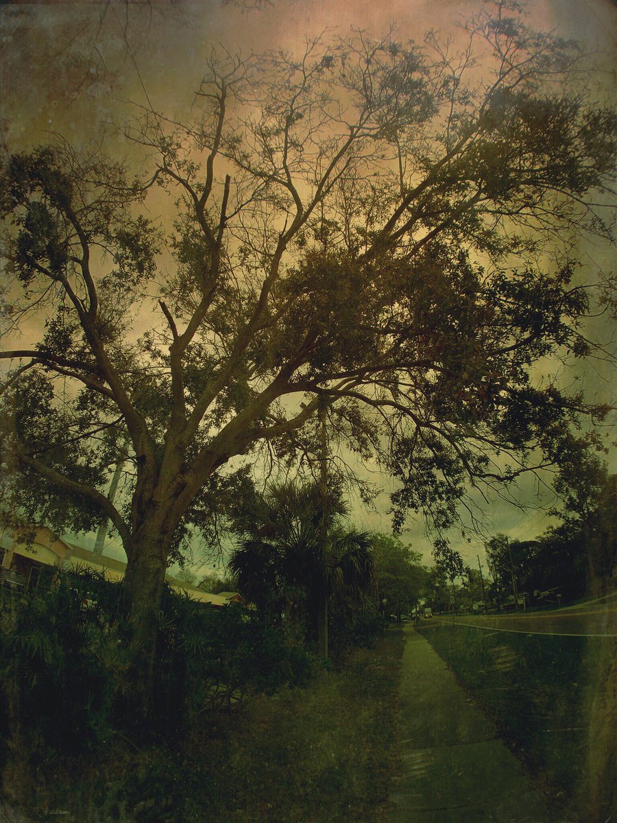 coyne1848's tweet image. #landscape #landscapephotography #mobilemasters #retroluxers #retroluxaholics #mobileartistry #mobiography #iphoneart #momentlens #momentwide