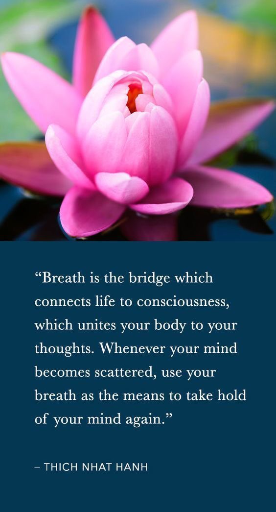 jenthemedium's tweet photo. Meditation is the best soul healing medication. Sometimes all you need is to close your eyes and focus on your breathing. #namaste https://t.co/JPSMJs02RV