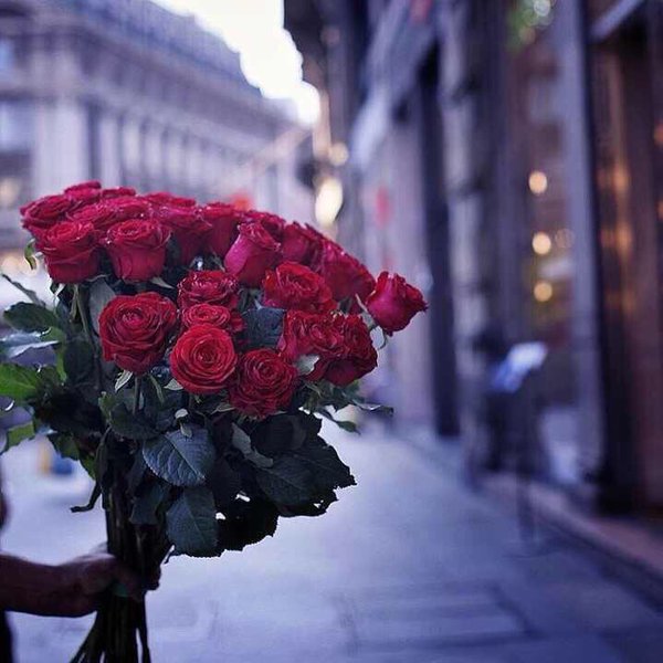 Flower___74's tweet photo. أحلى ورد😂😂💙🌸
@MARO0_02 https://t.co/AXHjtokLkA
