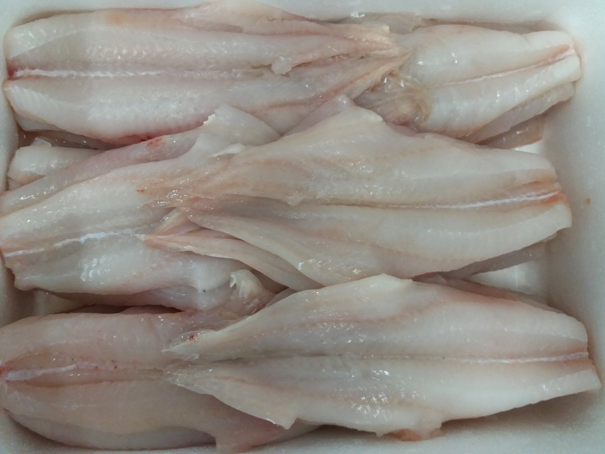 campbellstrade's tweet photo. Hand filleted angel cut Haddock. Filleted in house by our skilled team. #CPM #freshfish #haddock #angelcut #skilled https://t.co/27RissNm29