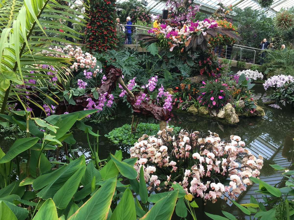 RHS Tender Ornamental Plant Committee tweet media