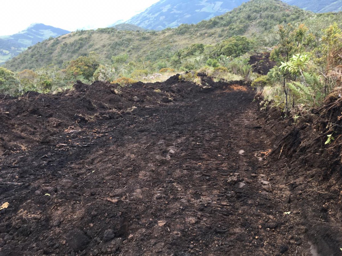 Sanchezmendieta's tweet photo. Atención: denuncian nuevo caso de agresión a naturaleza con la apertura de una vía. Esta vez en el Area de Reserva Hídrica San Francisco, en #Gualaceo, y en el Area de Bosque y Vegetación Protectora Collay. https://t.co/ijlXuT4vgZ