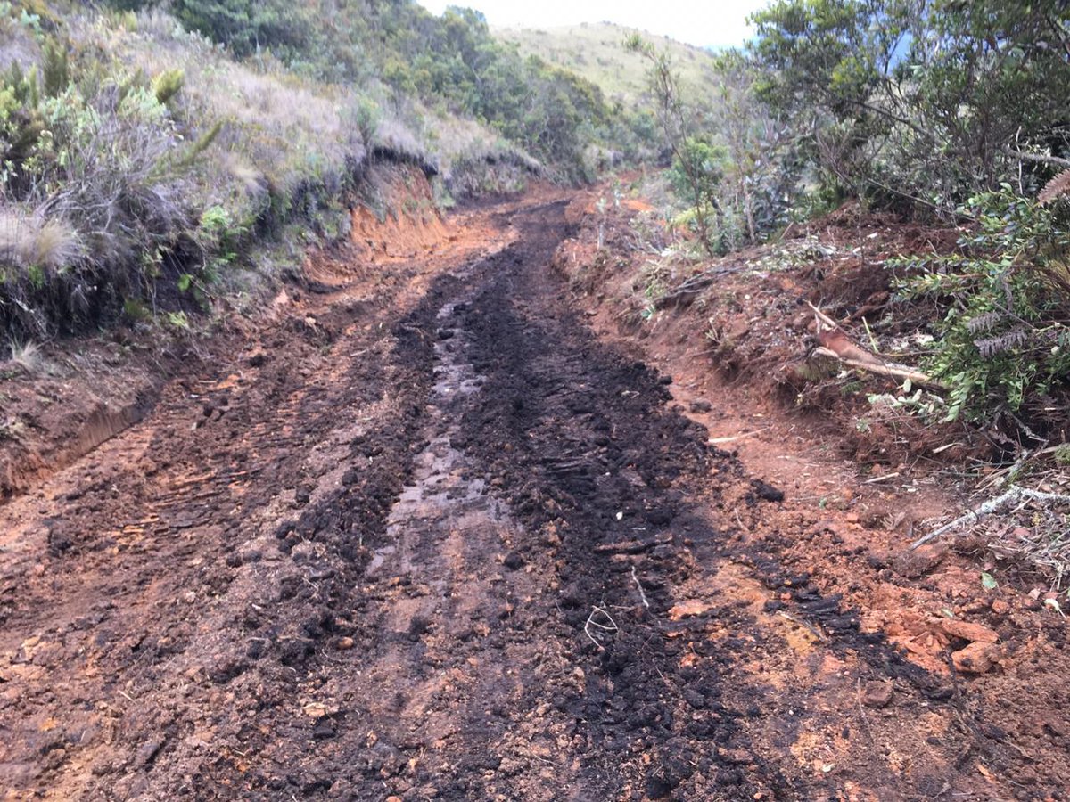 Sanchezmendieta's tweet photo. Atención: denuncian nuevo caso de agresión a naturaleza con la apertura de una vía. Esta vez en el Area de Reserva Hídrica San Francisco, en #Gualaceo, y en el Area de Bosque y Vegetación Protectora Collay. https://t.co/ijlXuT4vgZ