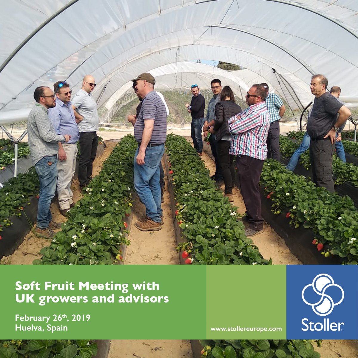 StollerEurope's tweet photo. 🍓As part of the work that #StollerEurope is developing in the United Kingdom, on February 26th, British fruit producers and advisors visited #strawberry, #raspberry, #blueberry and #blackberry crops in #Huelva, Spain. https://t.co/QqTUi6oFW9