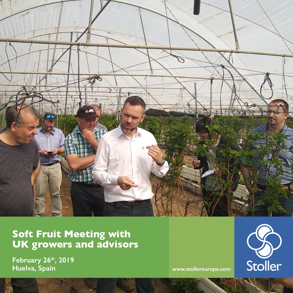 StollerEurope's tweet photo. 🍓As part of the work that #StollerEurope is developing in the United Kingdom, on February 26th, British fruit producers and advisors visited #strawberry, #raspberry, #blueberry and #blackberry crops in #Huelva, Spain. https://t.co/QqTUi6oFW9