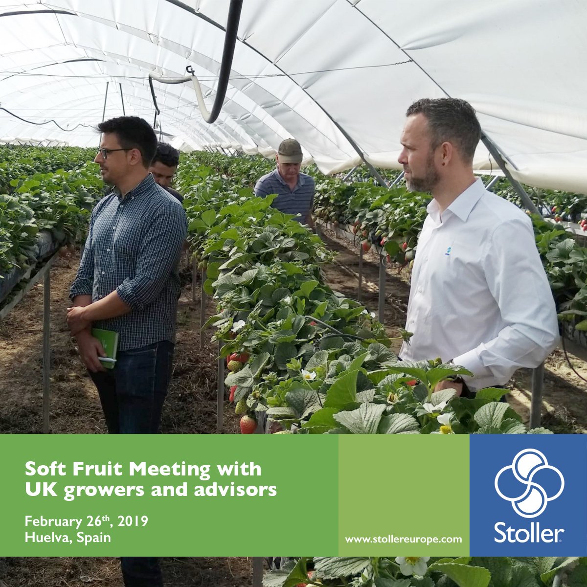 StollerEurope's tweet photo. 🍓As part of the work that #StollerEurope is developing in the United Kingdom, on February 26th, British fruit producers and advisors visited #strawberry, #raspberry, #blueberry and #blackberry crops in #Huelva, Spain. https://t.co/QqTUi6oFW9