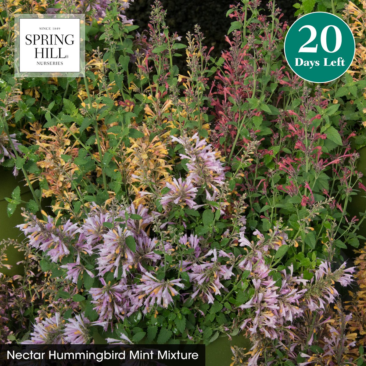 Bye Bye February. Hello spring.