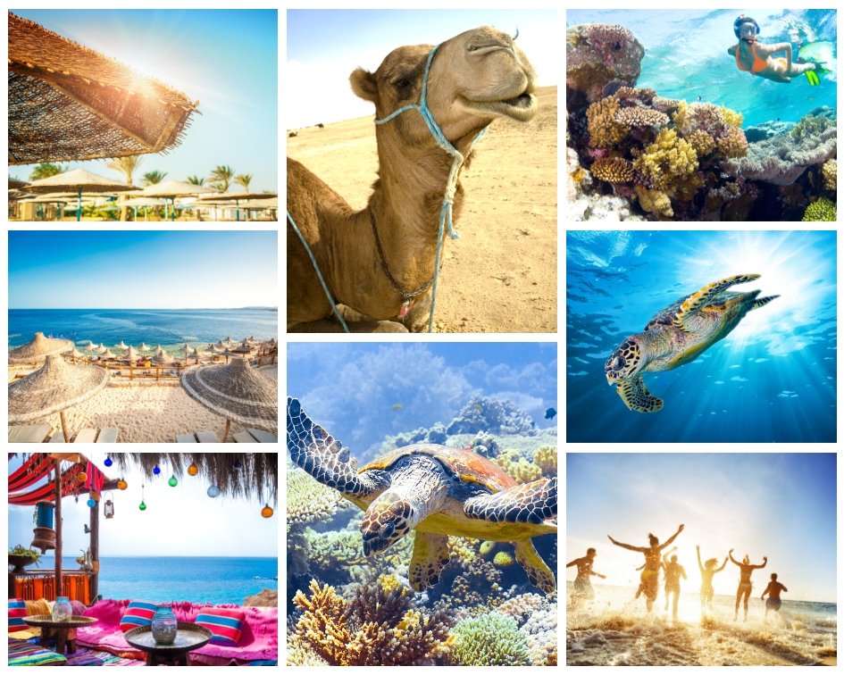 🛫 MORGEN ab Wien nach Sharm El Sheikh
🍸 All-inclusive /p.P.

🏩 4* Sharm Resort
☀️ 2 WO ab 676,-

🏩 4*+ Sharm Plaza
☀️ 2 WO ab 709,-

🏩 4*+ Siva Sharm
☀️ 2 WO ab 729,-

🏩 4* Ghazala Gardens
☀️ 2 WO ab 743,-

🏩 5* The Grand Hotel
☀️ 2 WO ab 792,-

bit.ly/2tIaJ7J