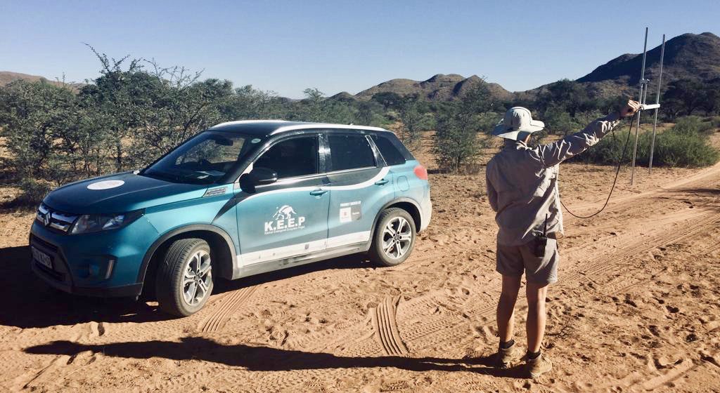 Dr Robin Maritz from the University of the Western Cape listens for the radio signal of a cape cobra <a href="/Tswalu/">Tswalu Kalahari Reserve</a>. Cobras are among the most important predators of small vertebrates in the Kalahari. <a href="/Suzuki_ZA/">Suzuki SA</a> <a href="/TswaluFdn/">Tswalu Foundation</a>