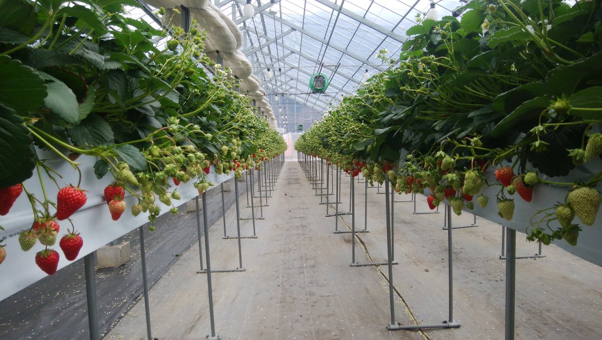 mankyu320's tweet image. 今日は良い夢見られそう。