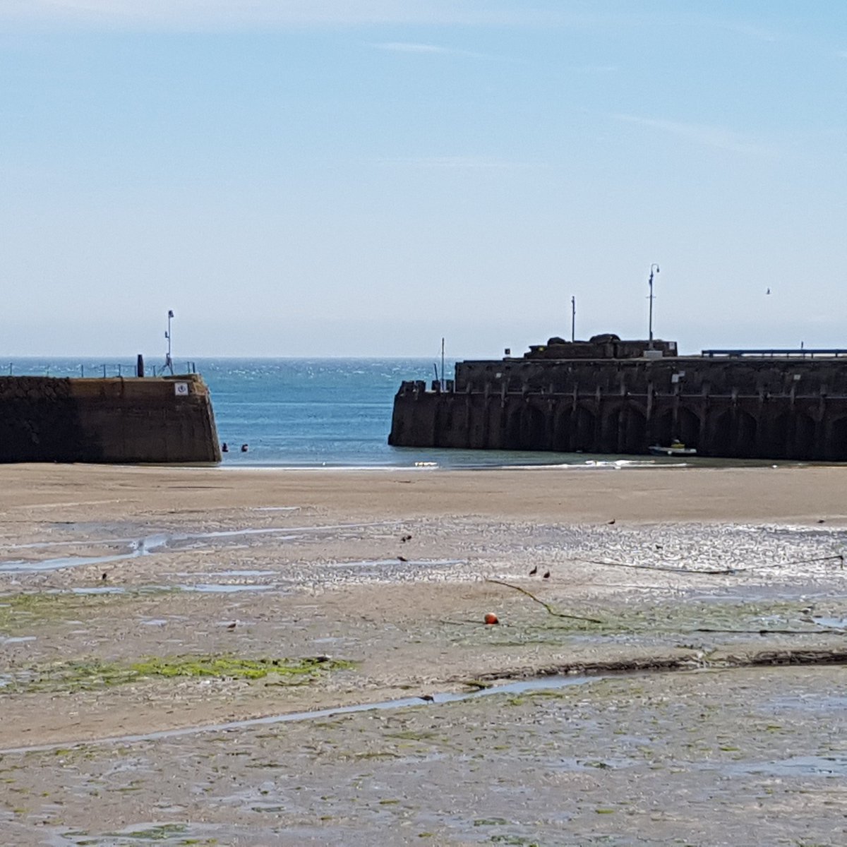 JoJo_Frenchy's tweet photo. Thank you to all @Rocksalt_Kent Front of House, Kitchen for all those #fabulous #meals over those years, Will miss you all continue the great work... A Bientot Who Knows! #Folkestone @MarkSargey10 @MsSzelag #fabfood https://t.co/dpUlf2mYg0