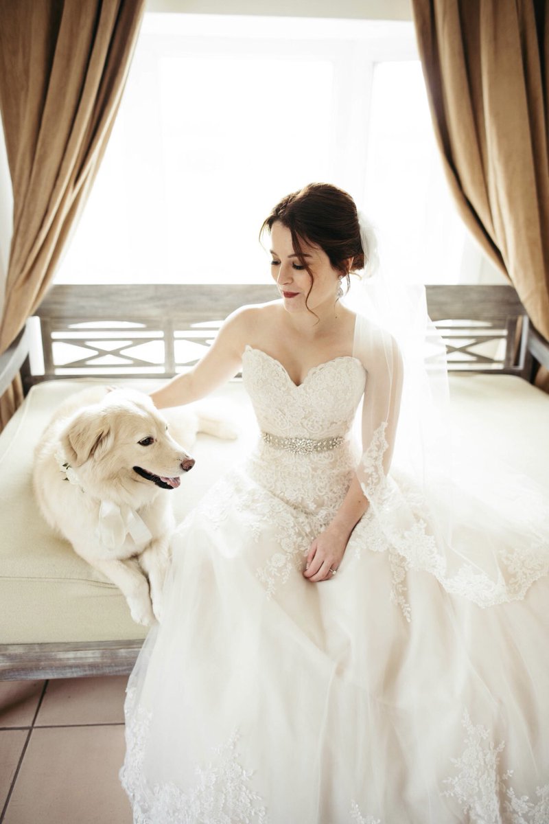 FLAMS Farm tweet media