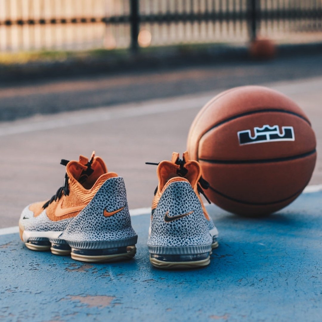 lebron xvi safari