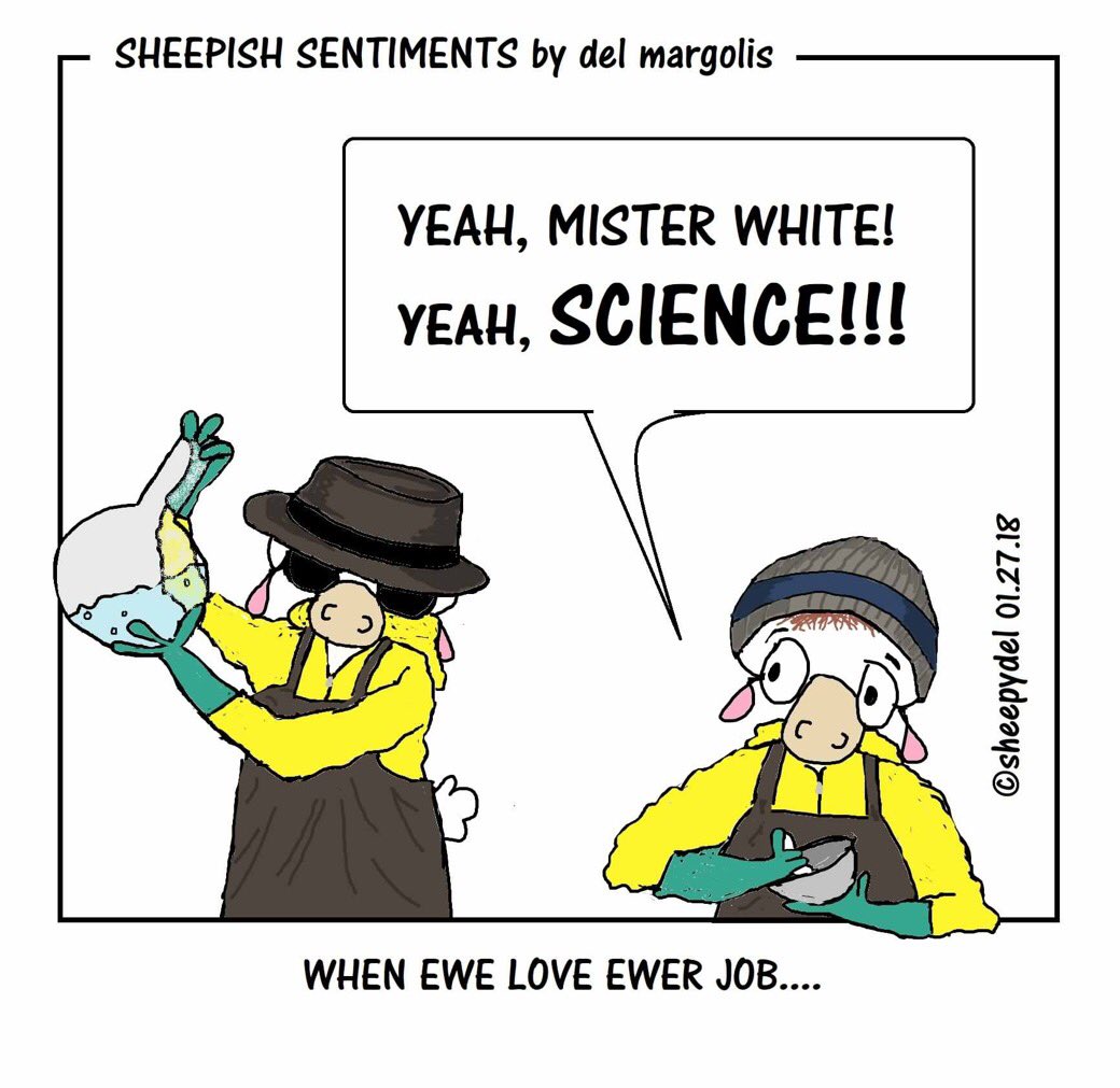 sheepydel's tweet image. #NationalScienceDay #YeahScience #MisterWhite #JessePinkman #BreakingBad