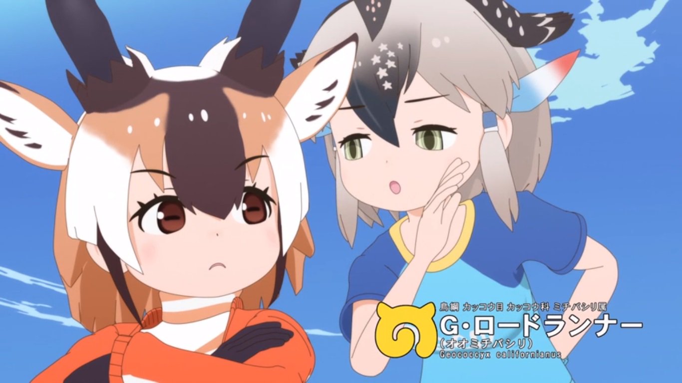 しっぽ けものフレンズ２ 7話 ロードランナーが出てきましたけど 自分の中のロードランナーってずっと三枚目画像の鳥のイメージしかないので なんだか違和感が凄いです でも服の配色は身体の色と少し似てますねｗ けものフレンズ