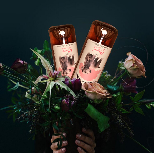 Dracaenawines's tweet photo. Happy #FlowerDesignDay! Today is all about appreciating floral design as a unique and creative art form. Or... sipping some lovely #pasorobles #rosewine that has a beautiful bouquet! #Floraldesignday @QuintessentiaWP @Piacerelseo @italianaradio1 @Noovyis @Backroadtouring https://t.co/8qiBtRIpRb