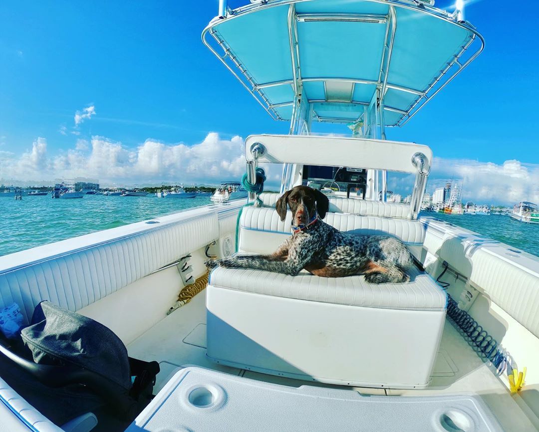 Contender Boats Inc tweet media