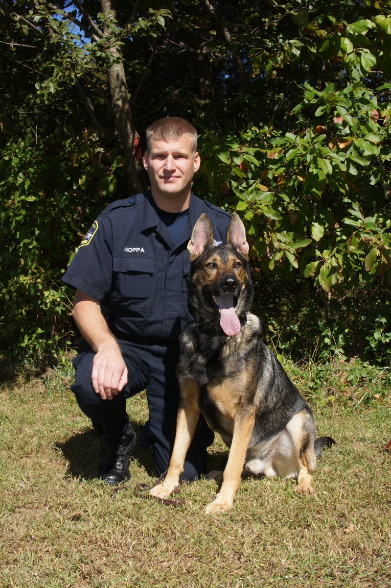 Harford Sheriff on X: It's with great sadness that for the second time  this month we announce the passing of a retired HCSO K9. K9 Bruno died  Monday night at the age