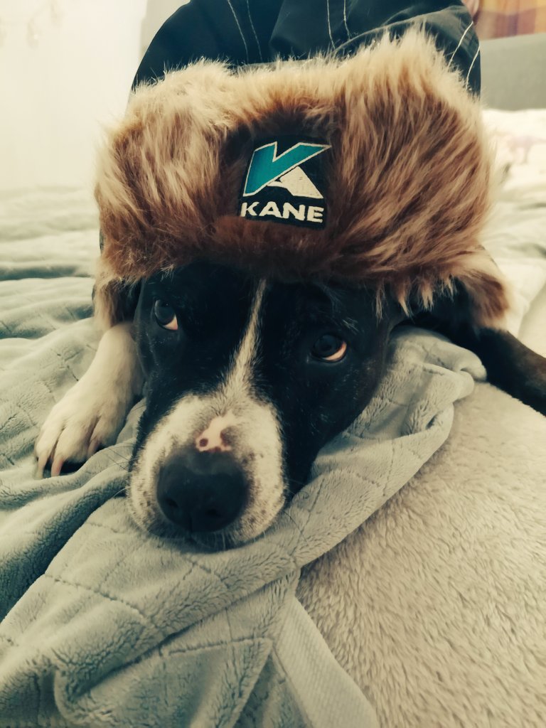 Leia and I think there's at least 1 perk to living with a #Kane rep! The hats! <a href="/MitchellatKane/">Mitchell Perry</a> <a href="/kaneanalysers/">KANE</a>