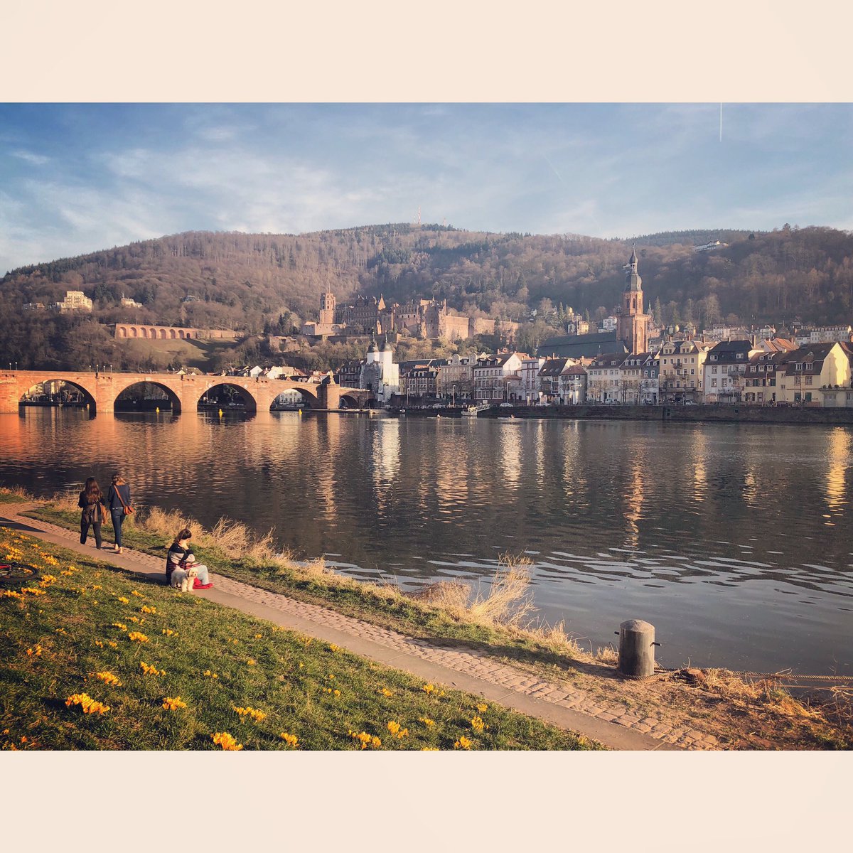 Hallo Heidelberg!🦢🏰🇩🇪
#Sunset #Selfie #Me #Man #Guy #AlteBrückeHeidelberg #Neckar #Altstadt #SchlossHeidelberg #Heidelberg #BadenWürttemberg #Deutschland #Germany