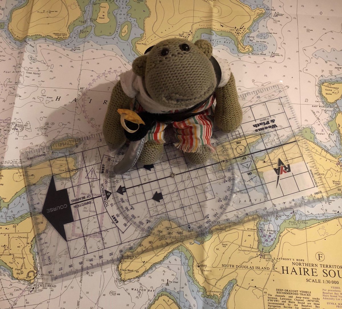 LifeboatBear's tweet photo. No Minkey, there will be no plundering.... and where have you put the dividers? What have you done to @PalmerKatharine? https://t.co/8MpMhAOQwk
