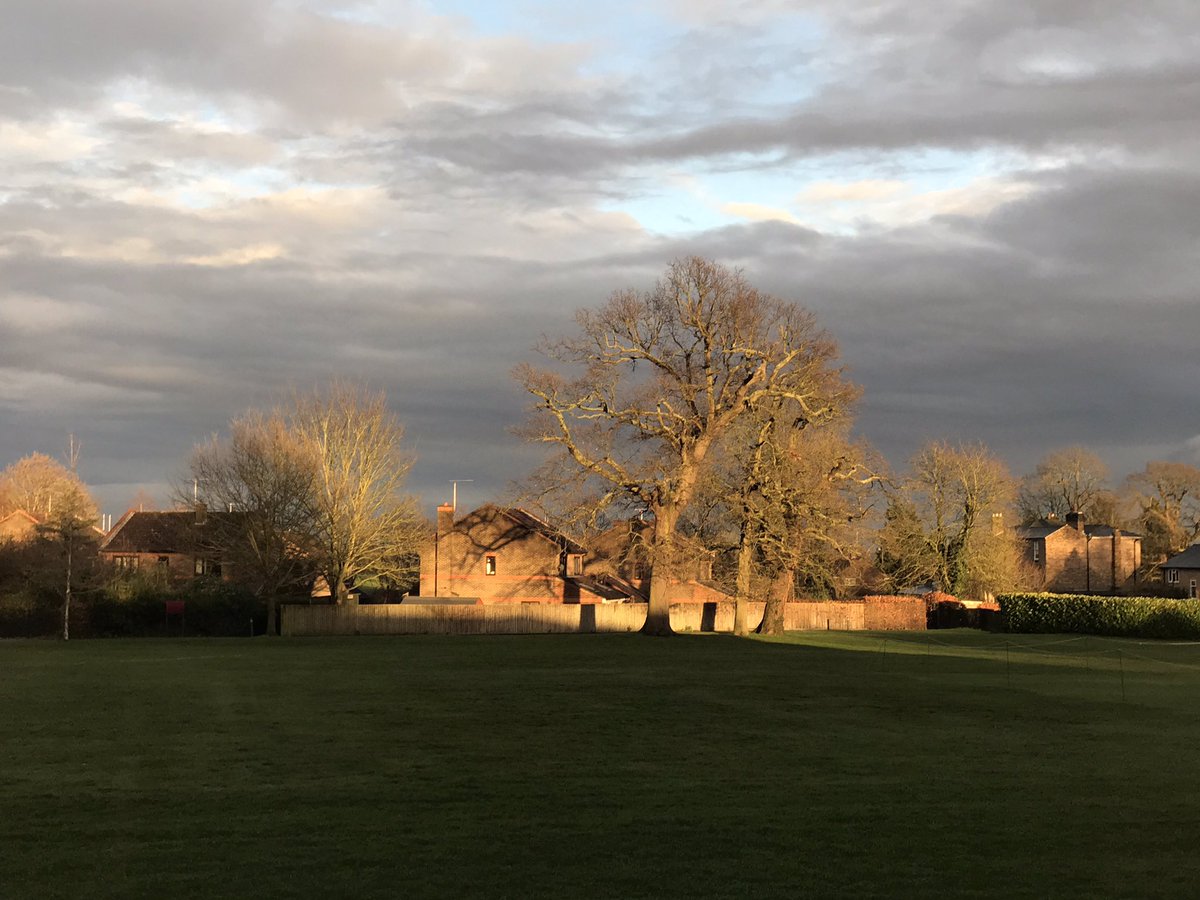 HbyItalian's tweet image. L'albero   #thealphabet #firstletter @HbyItalian