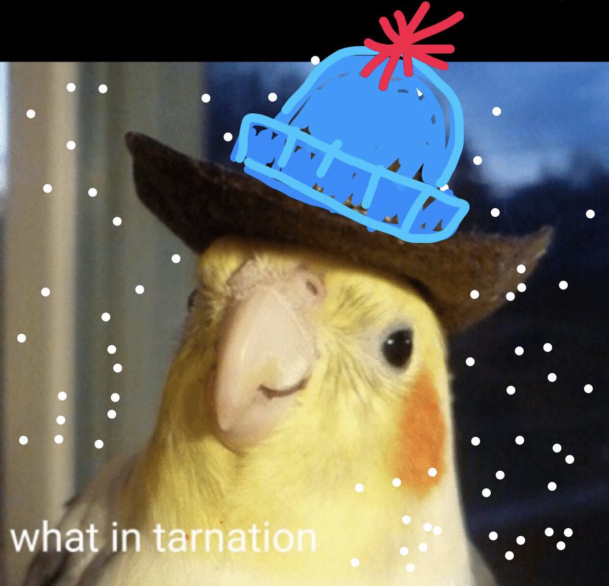 Oklahoma: gets hit with ice storm every year 

Oklahomans EVERY year: