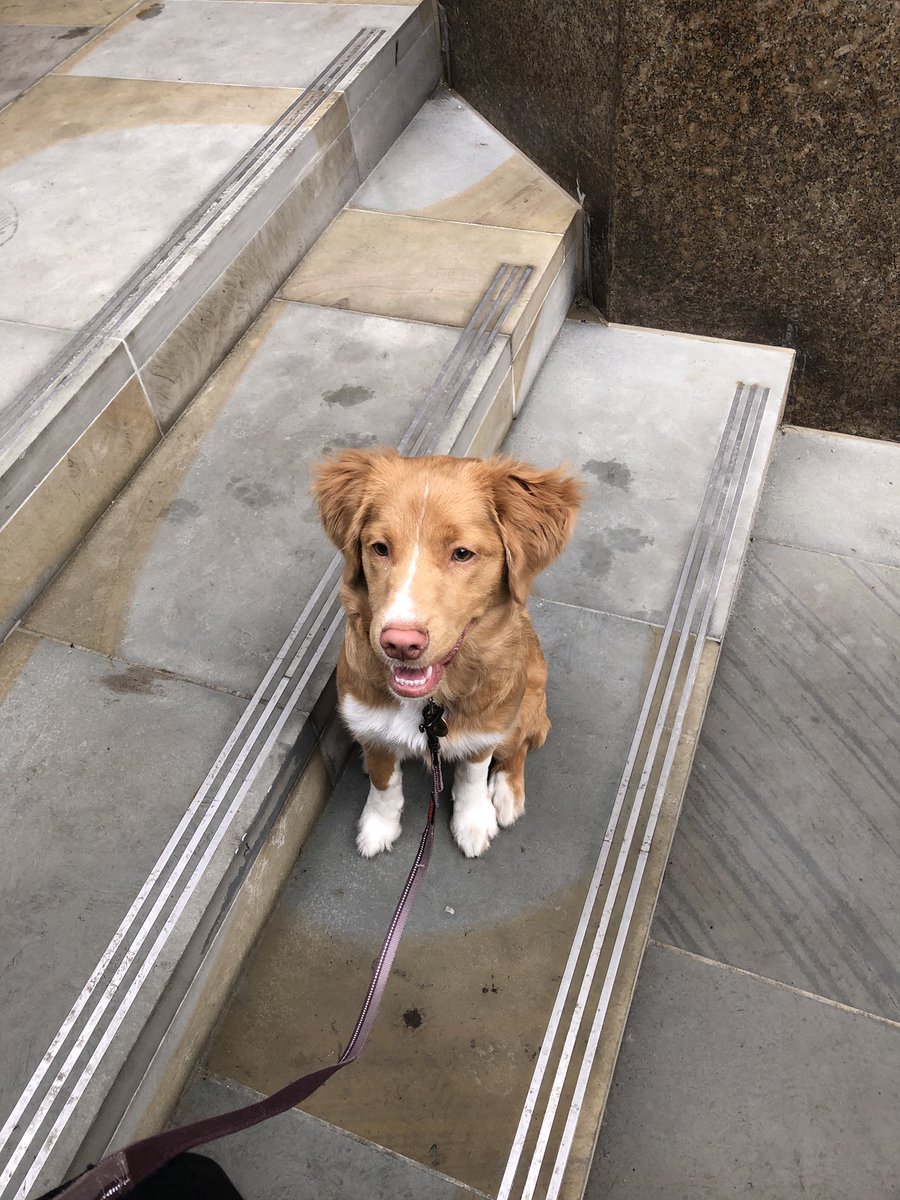 Roger Vincent tweet media