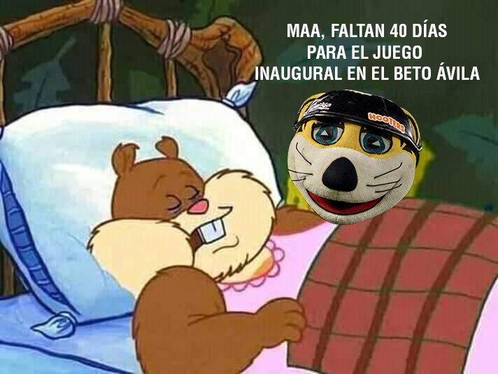 tigresqroficial's tweet photo. Ese @tigrechacho anda desesperado ya 🤭

¿Quien más estuvo así hoy en la mañanita? 🤔
#RugiendoJuntos 👊🏻 https://t.co/vJpBma4xCC