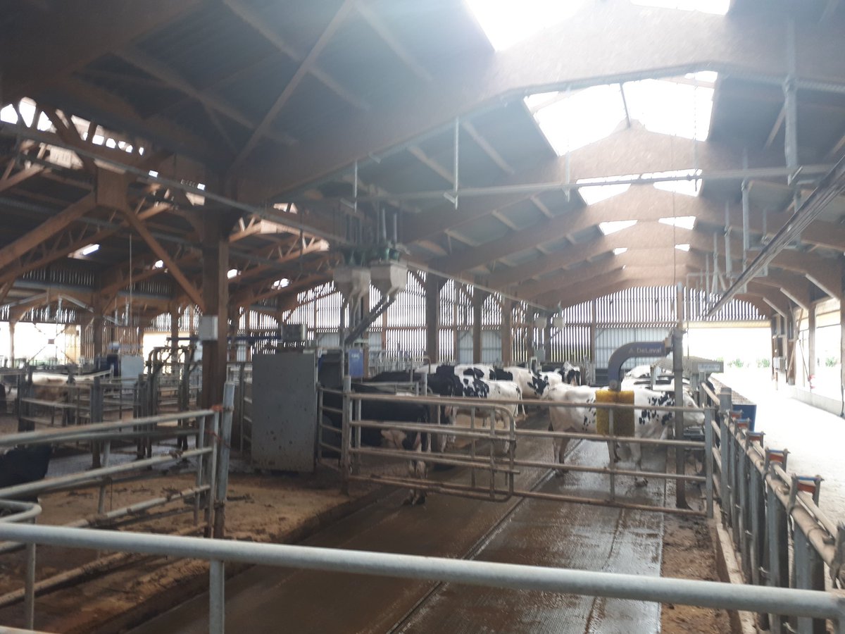 MARTINYohann1's tweet photo. Excellente journée, visite de la #ferme expérimentale de #sourches avec des éleveurs partenaires de #sandersna #Bretagne. #weareavril https://t.co/UbGEZ8Zmca