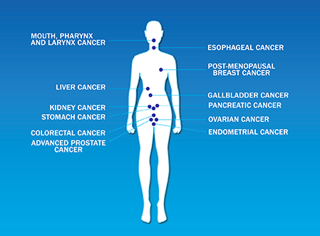 aicrtweets's tweet photo. Stay updated with our health and research newsletters. https://t.co/ahStgFfulv #CancerPreventionMonth #CanPrevent https://t.co/J1rGwxyANf