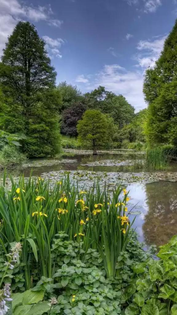 siham 🌹🇾🇪 tweet media