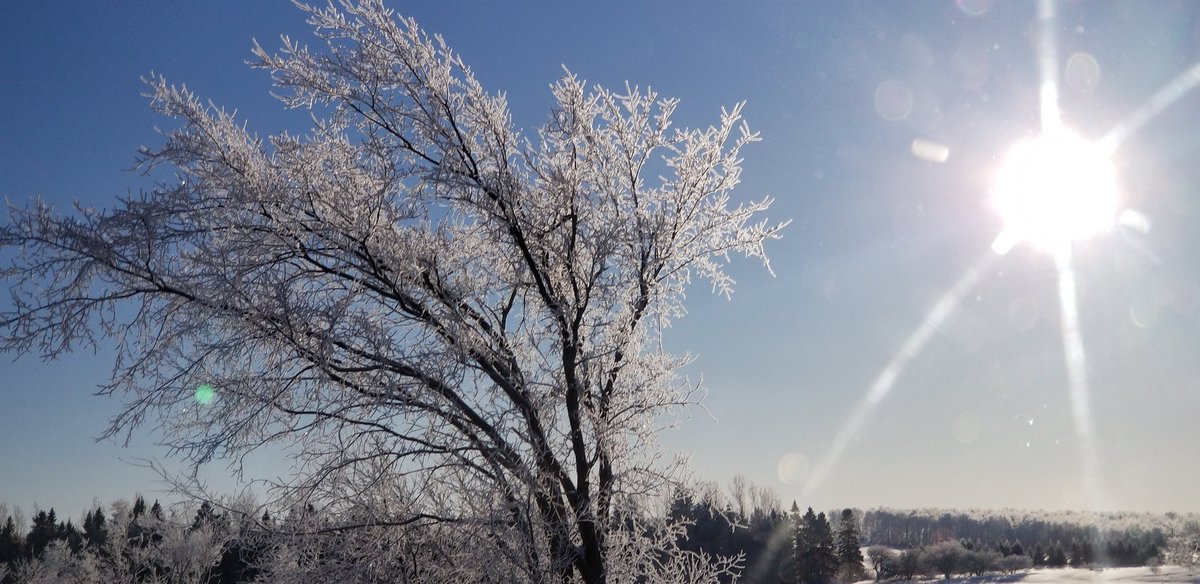Beauty day in south georgian bay #bm4s
