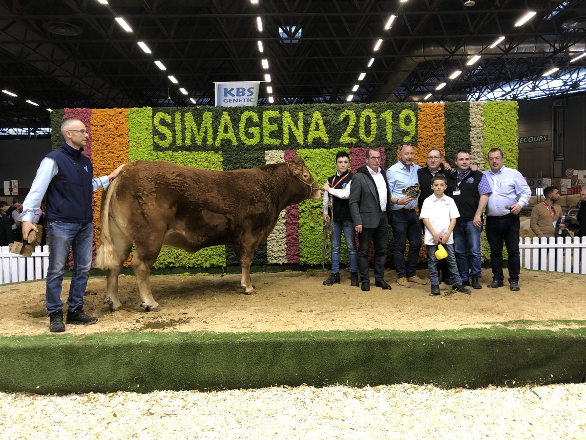 viandeorrouge's tweet photo. Les enchères des 13 vaches et génisses de race Limousine ont atteint une moyenne élevée de 7 960€ pour ces animaux exceptionnels! Bravo au GAEC du Plessis de Creuse qui remporte le Prix du Meilleur Animal du Concours. @sima_paris
#SIMAParis #limousin #limousine #OrRouge https://t.co/Vavnd5aLYC