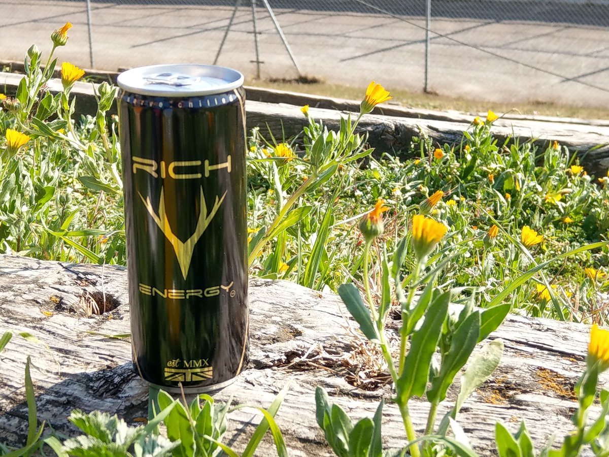 BvonLockenstein's tweet photo. Rich Energy: it actually exists (and is basically Red Bull) #richenergy #F1Testing #paddockpass https://t.co/pEn88mzr7u