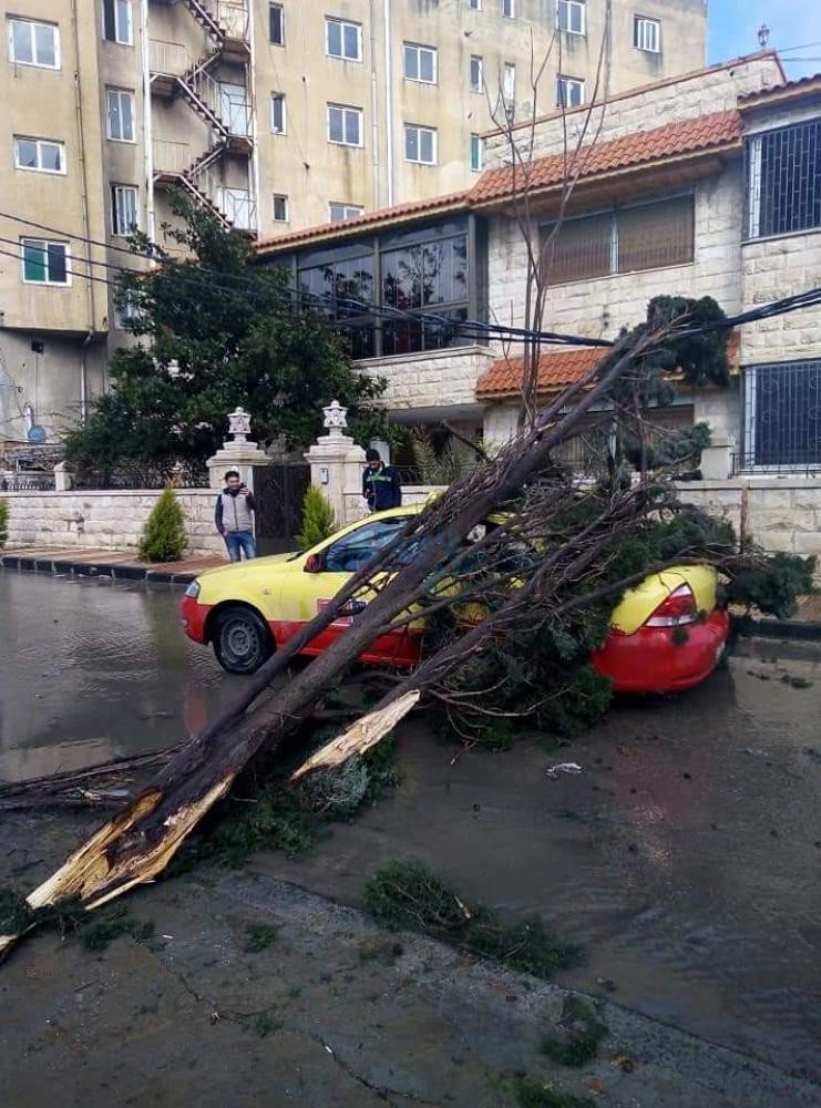 alrai's tweet image. الرياح تُسقط شجرة على مركبة في إربد ..
alrai.com/article/104722…