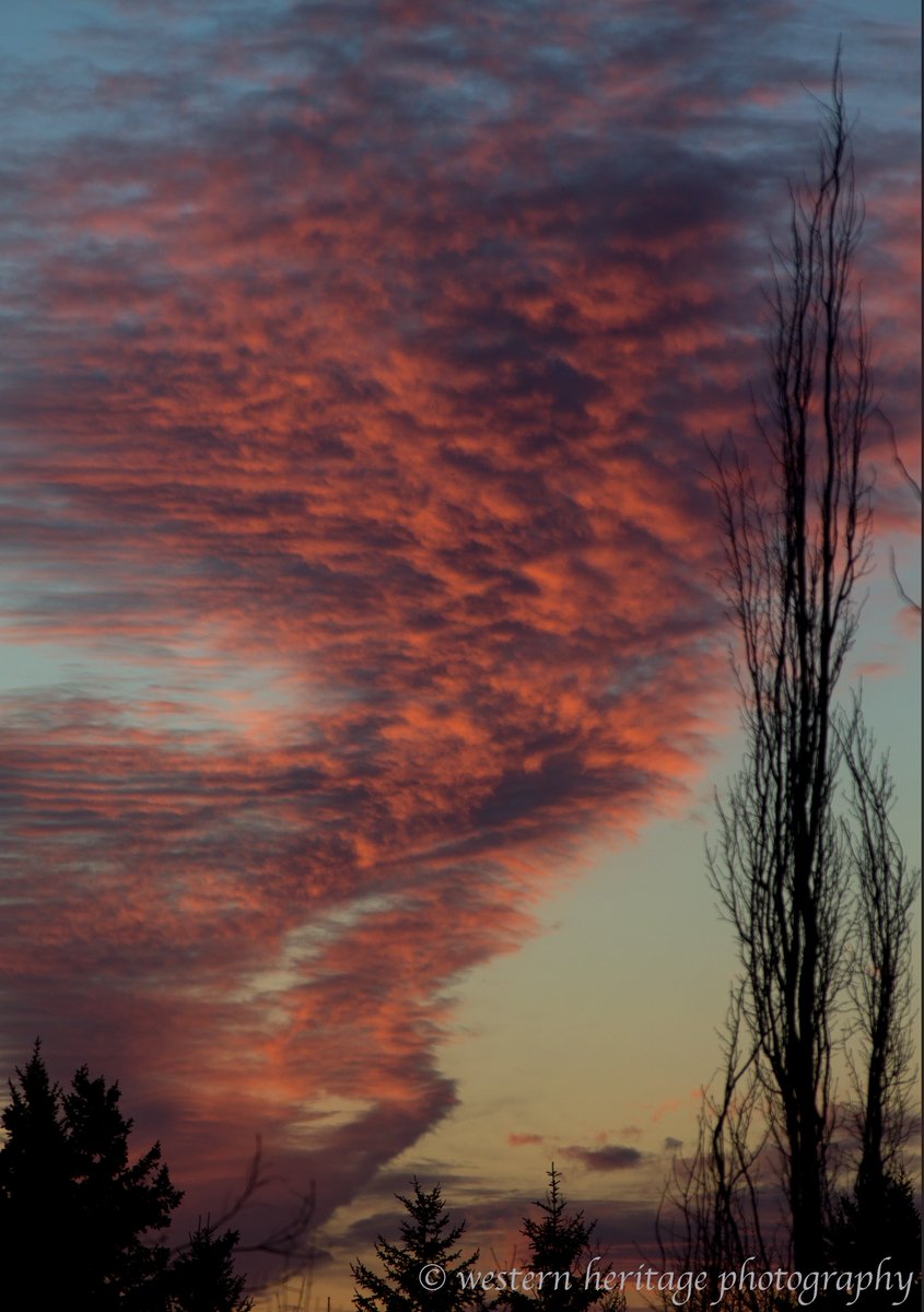 #GoodMorningWorld - still cold outside but when you look out of your living room window and see views like this - it brings a warm glow inside and makes you realize what an awesome place we call home. (Cochrane, Alberta) #sunrise #cochrane