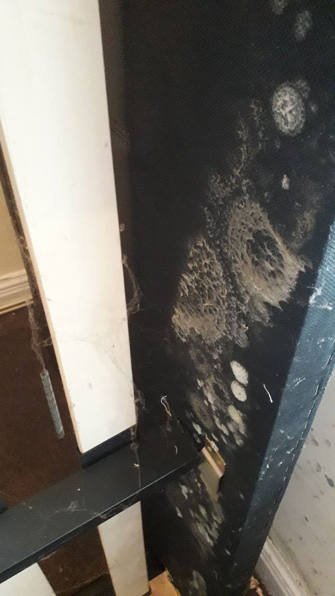 Chester Painter tweet media