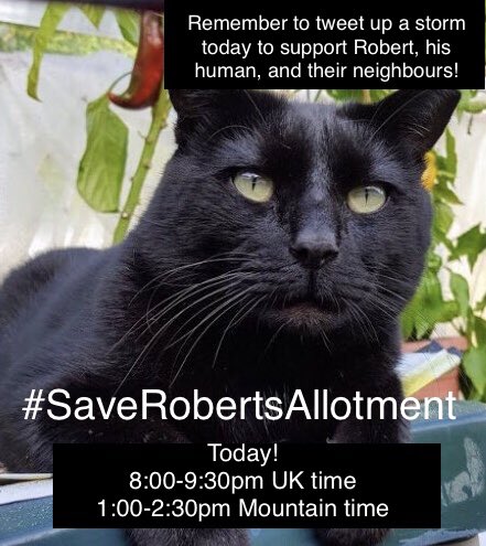 #SaveRobertsAllotment #SaveRobertsAllotment #SaveRobertsAllotment #SaveRobertsAllotment <a href="/AllotmentCat/">Robert Allotment cat,now helped by Janet & Amanda</a> <a href="/JoeyJoyful/">Joyful Joey</a>