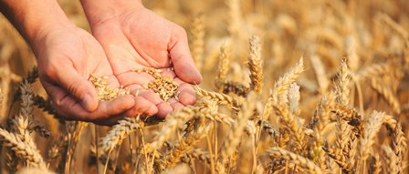 Larking Gowen tweet media