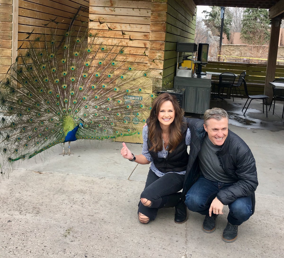 KathySabine9's tweet image. Yes ⁦@VicLombardi⁩ that is a peacock LOL😂 I work for #NBC LOL such a great guy so much fun to work with and he’s out of surgery and home recovering!!!! 😃 sending sunshine good thoughts and good wishes to Vic and his family!😃👍🏻❤️