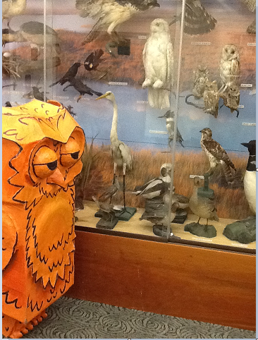 MO the Mystery Owl hooting it up with his feathered friends at Rowley  Public Library and filling them in on his statewide library travels.  Come on into the library and meet our wise visitor
#MotheMysteryOwl
