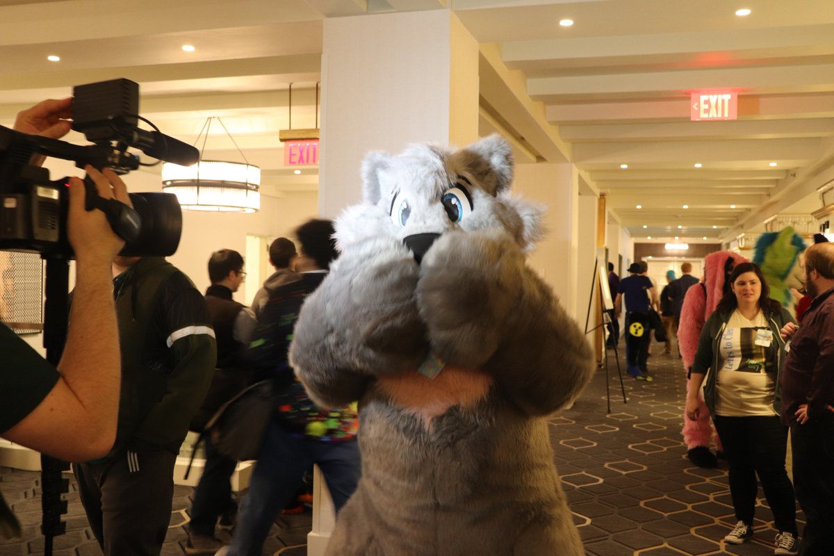 CloverCrash's tweet photo. Here's a #tbt to #ane2018
I was a scrub and didn't have a twitter at the time, so I never got around to sharing the photos I took. I'm hoping to share more in the future! https://t.co/4Y292zFHzA