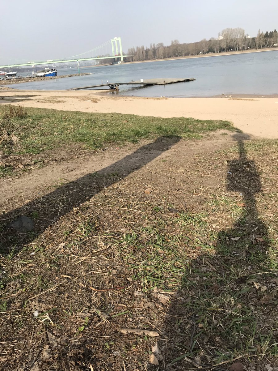MelanieTrimborn's tweet photo. Wenn die Erkältung Weiberfastnacht so aussehen lässt #Alaaf #Spaziergang statt #Feier https://t.co/4RqVXdkMi3