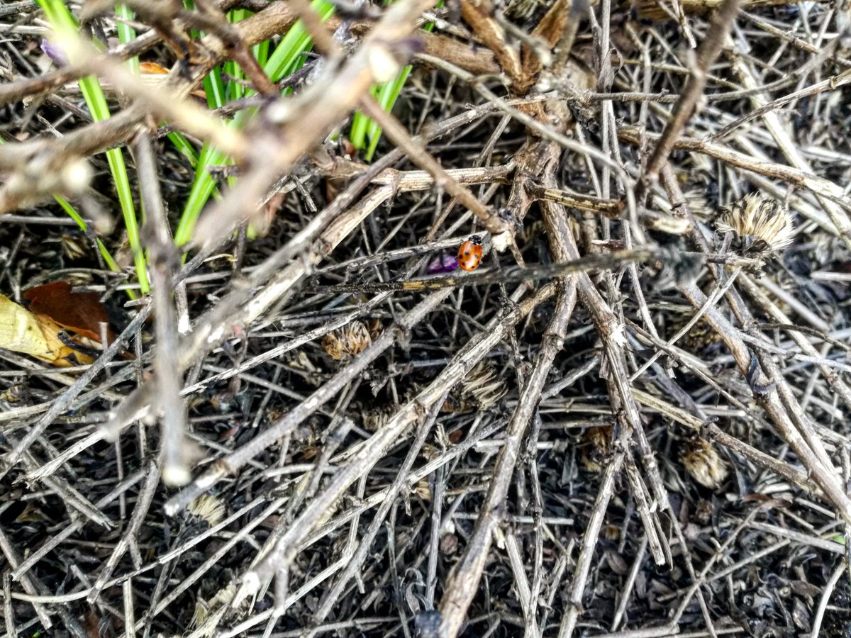 Château du Tailhas tweet media