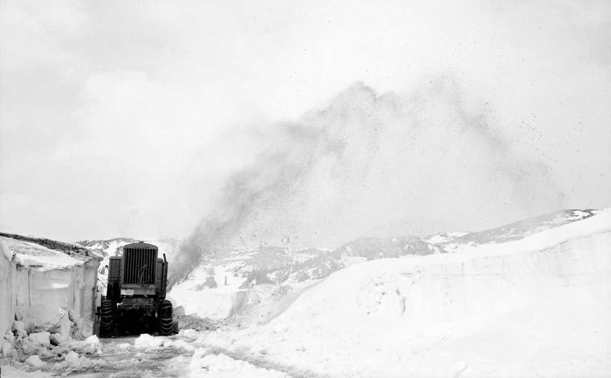 centerofthewest's tweet image. TBT- a snow plow blows snow off the roads on Bearthooth Pass in 1950!
[Snow plow plowing snow on Beartooth Pass. Jack Richard, 1950. MS089 Jack Richard Photograph Collection. Copyright Jack Richard. PN.89.110.21188.16] #tbt #winterinWY #letitsnow