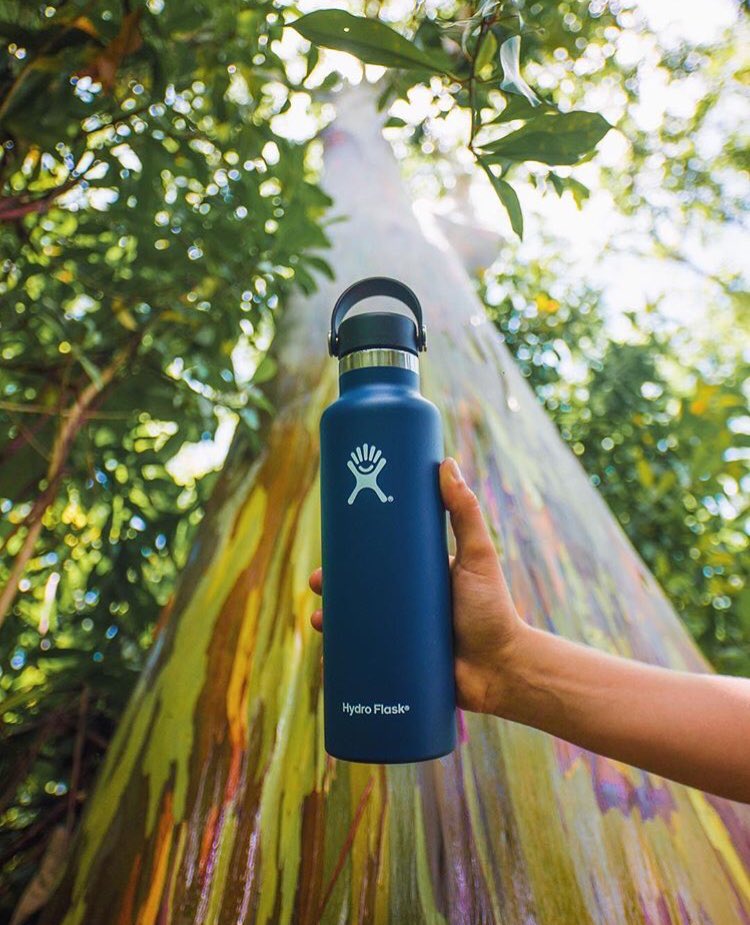 Kinnucan's tweet media