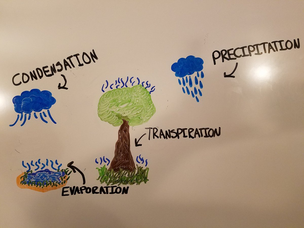 kmphillips96's tweet photo. Beautiful picture of the water cycle drawn by one of my students 😁 https://t.co/YzfskHNGcv