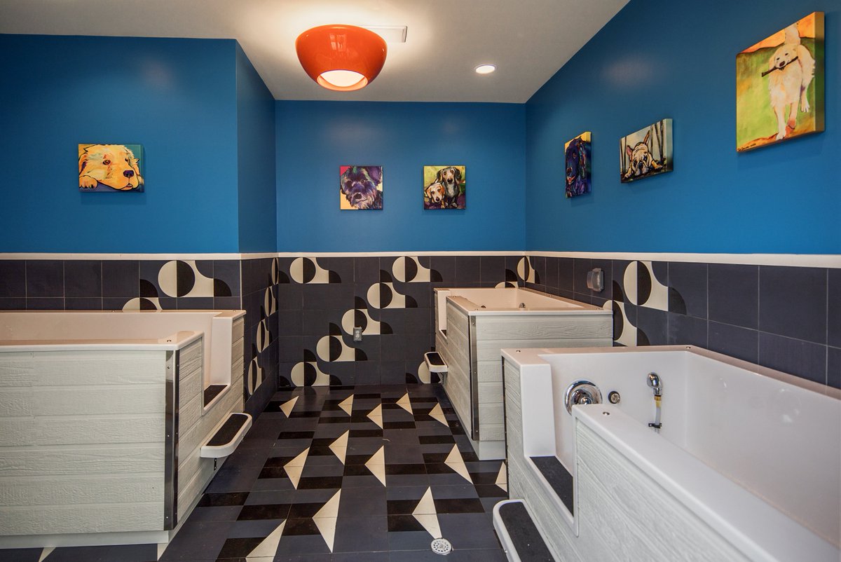 Your pooch deserves this. Our pet spa makes bath time better for you and your furry friends. | bit.ly/2Fd5dBr #ParkApts