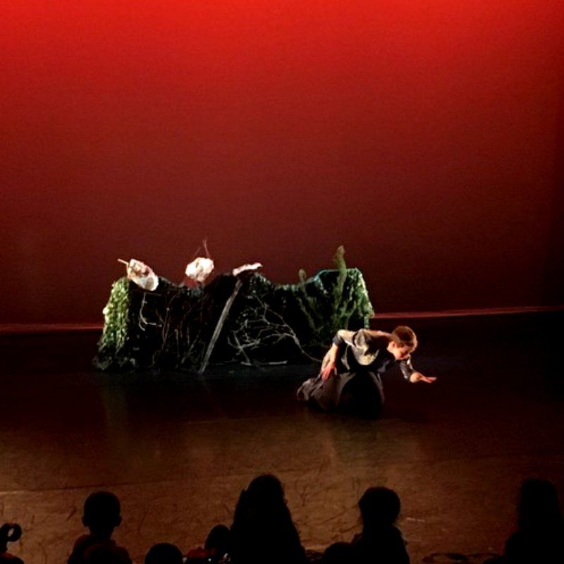 Dance City tweet media